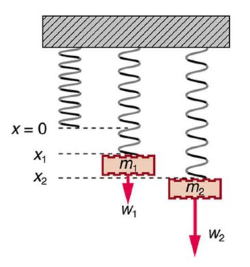 Elastic Band Stretch Force  Download Scientific Diagram